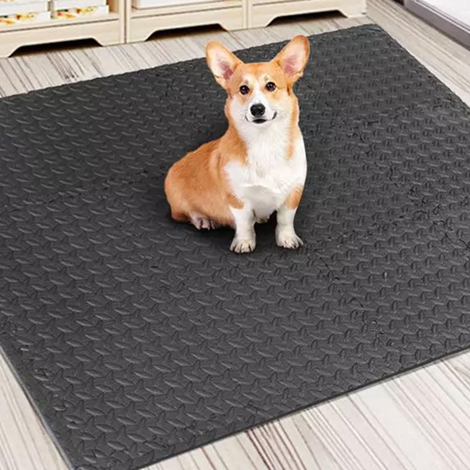 Home Gym For Toddlers - Yapboz Egzersiz Matı 12 Parça Birbirine