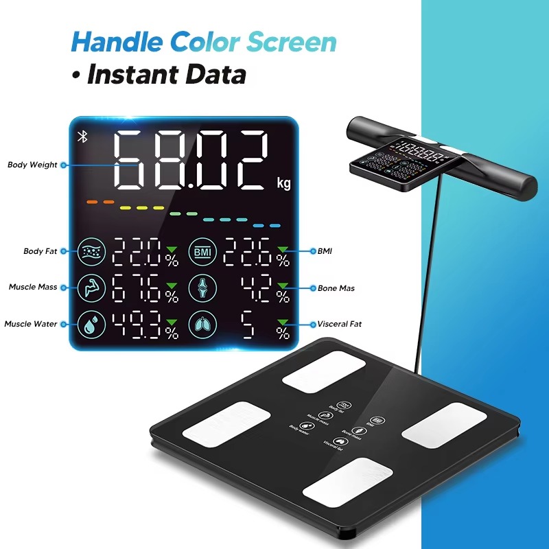 Yeni 8 elektrotlu akıllı vücut - Home Gym Body Solid incelemesi ve fiyatı